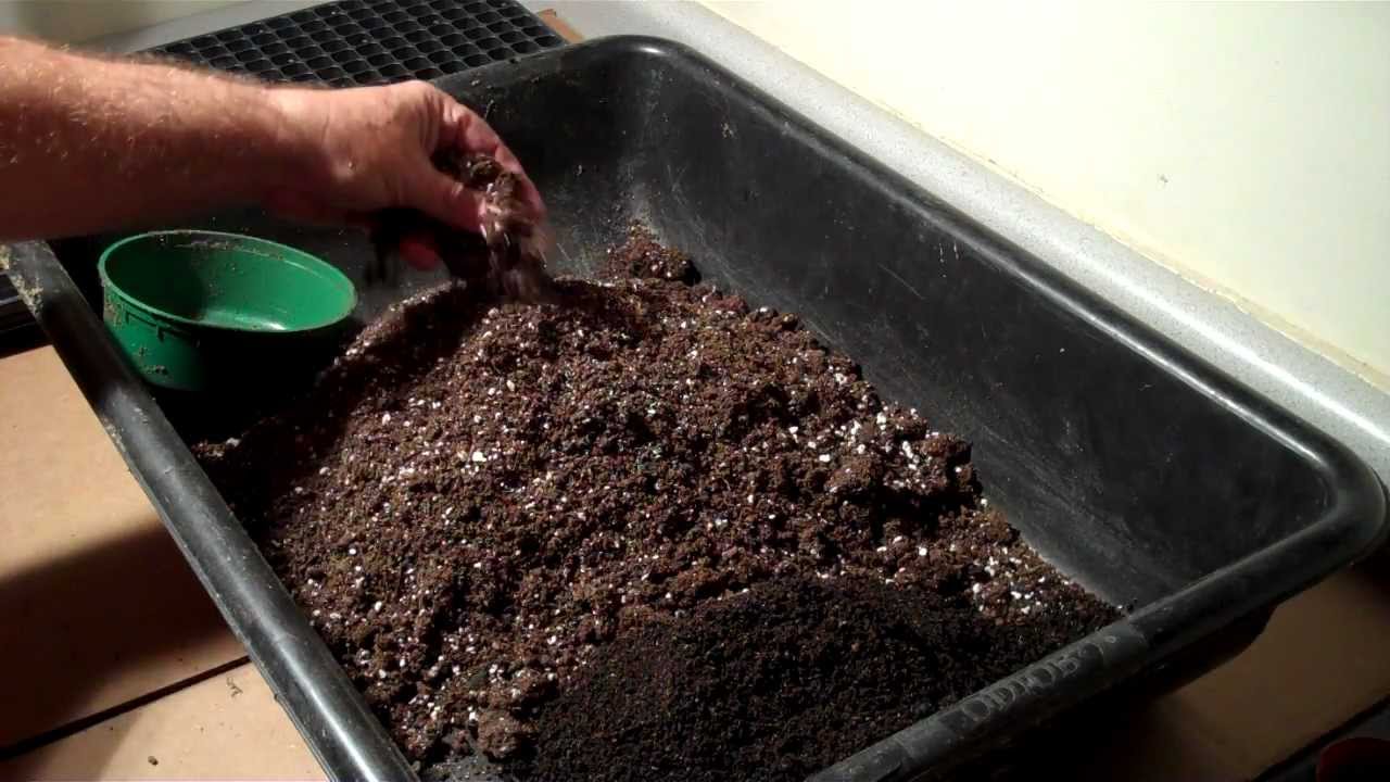 seeds start mix